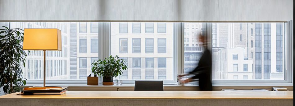 Aliquam pharetra diam vel odio pretium venenatis